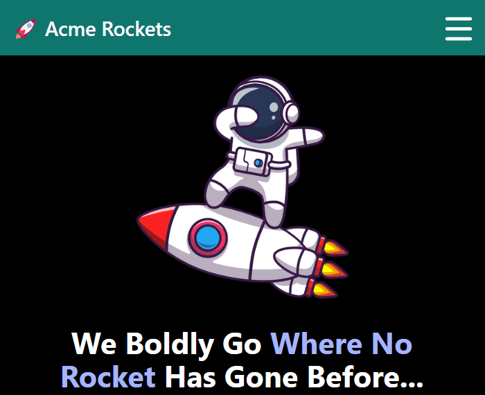 Acme Rockets Website Image